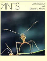 the_ants